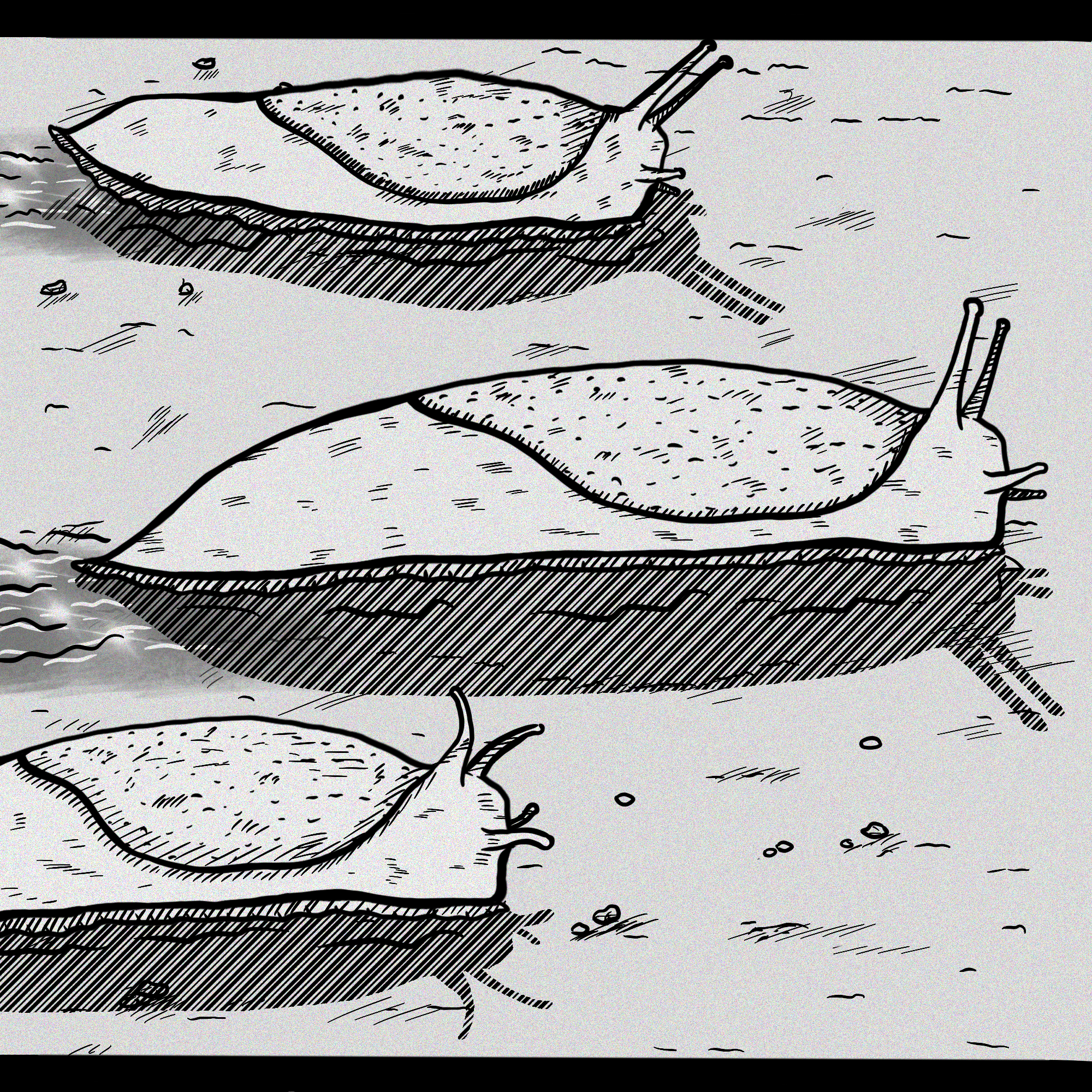 Inktober Day 11 Illustration